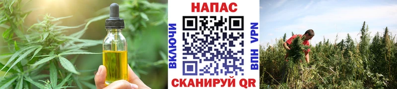 наркотики  кракен зеркало  Еда ТГК марихуана  Новоалтайск 