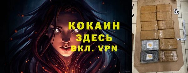 шишки Мегион