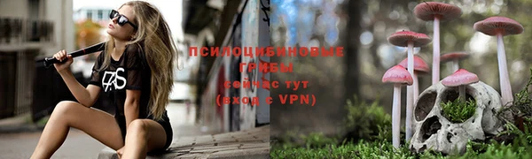 ALPHA PVP Бронницы