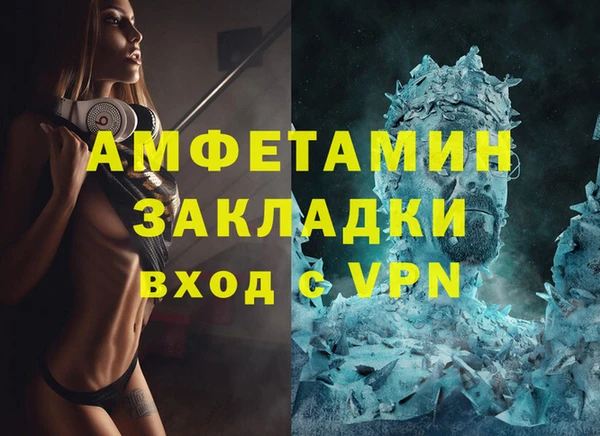 шишки Мегион