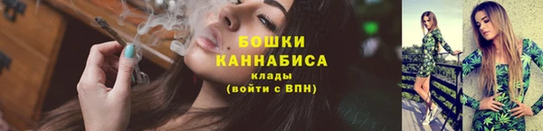 шишки Мегион