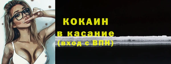 шишки Мегион