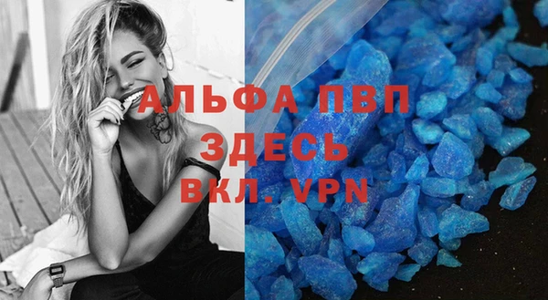 стафф Михайловск