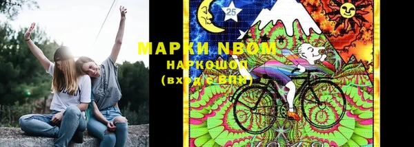 шишки Мегион