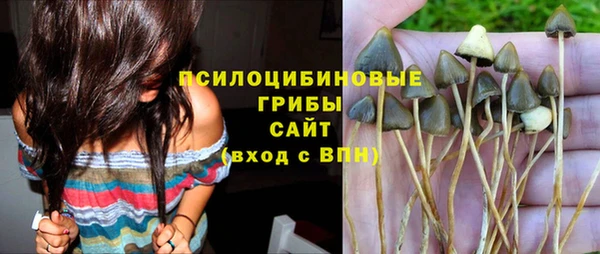 шишки Мегион