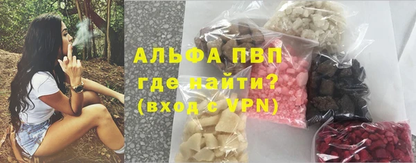 шишки Мегион
