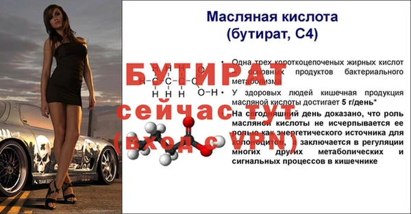 шишки Мегион