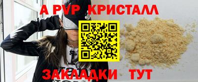 индика Донской