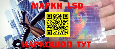индика Донской