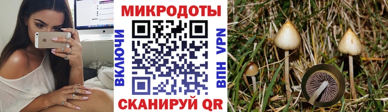 Псилоцибиновые грибы ЛСД Новоалтайск