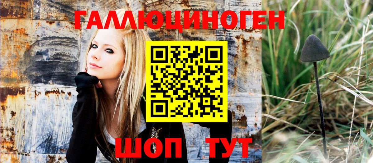Галлюциногенные грибы Magic Shrooms  Псилоцибиновые грибы мухоморы  Новоалтайск 