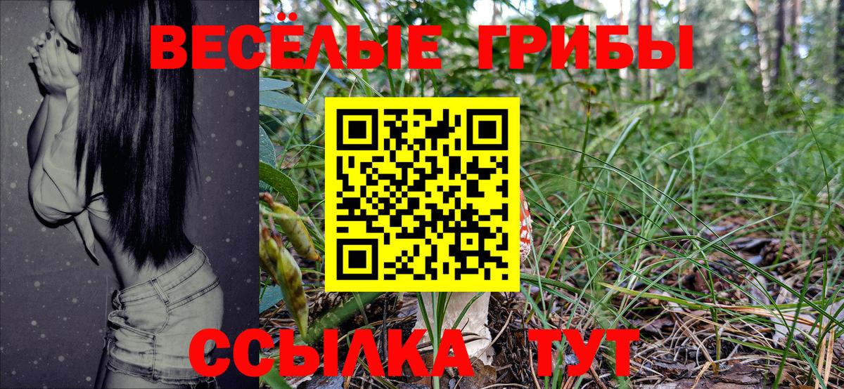 Галлюциногенные грибы Cubensis Новоалтайск