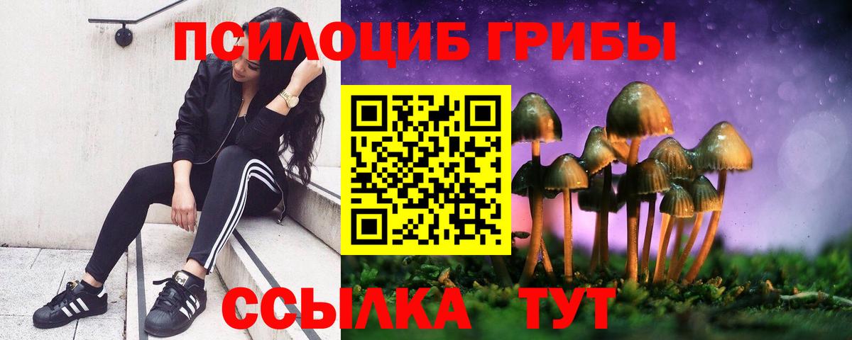 Новоалтайск  Псилоцибиновые грибы Psilocybine cubensis  Вход с VPN 